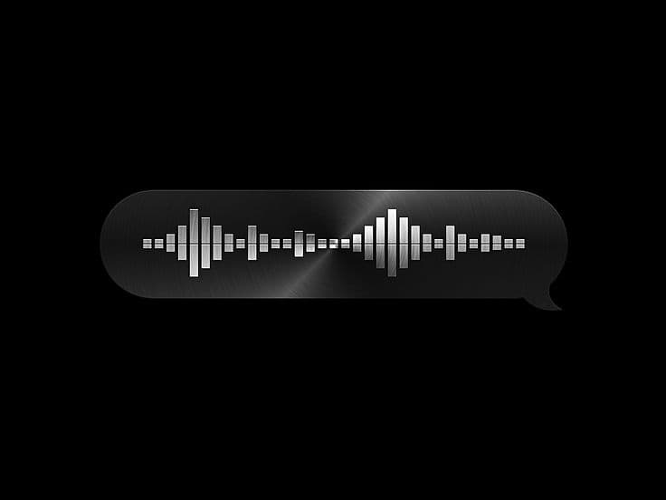 Voice ID illustration